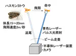 プレスリリース「青色半導体レーザーを用いた害虫の撃墜」（大阪大学）